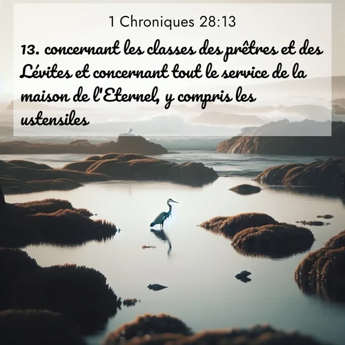 Segond21 1 Chroniques  ; image nature: image avec le verset biblique :concernant les classes des prêtres et des Lévites et concernant tout le service de la maison de l&#039;Eternel, y compris les ustensiles. ;  ; 28:13