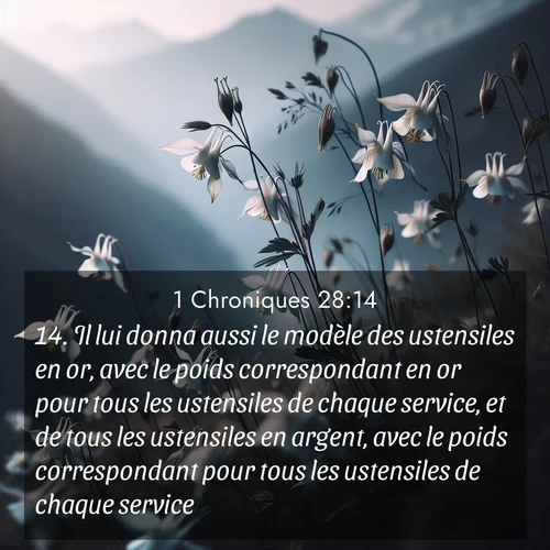 Segond21 1 Chroniques  ; image nature: image avec le verset biblique :Il lui donna aussi le modèle des ustensiles en or, avec le poids correspondant en or pour tous les ustensiles de chaque service, et de tous les ustensiles en argent, avec le poids correspondant pour tous les ustensiles de chaque service. ;  ; 28:14