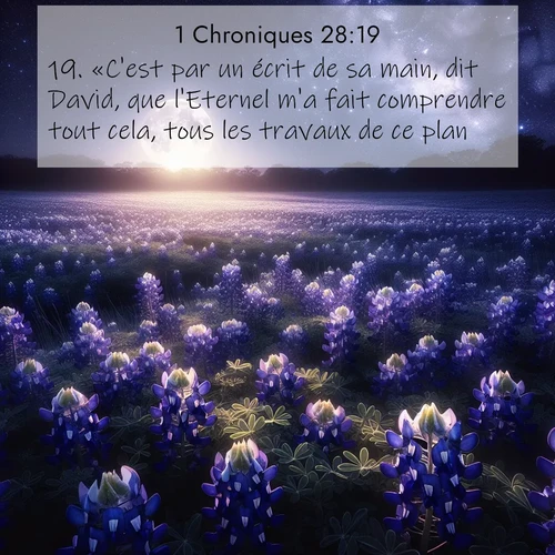 Segond21 1 Chroniques  ; image nature: image avec le verset biblique :«C&#039;est par un écrit de sa main, dit David, que l&#039;Eternel m&#039;a fait comprendre tout cela, tous les travaux de ce plan.» ;  ; 28:19