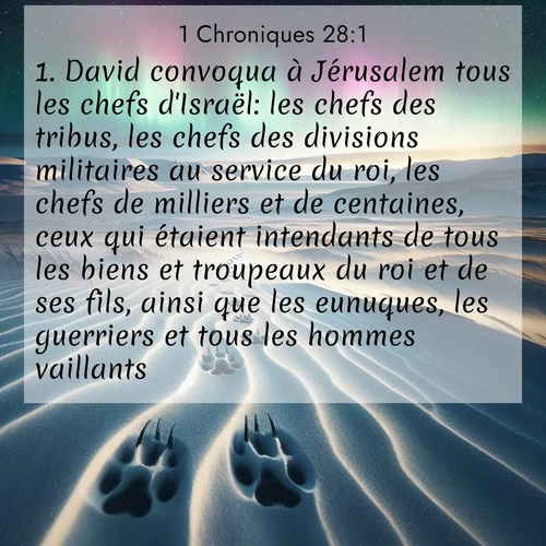 Segond21 1 Chroniques  ; image nature: image avec le verset biblique :David convoqua à Jérusalem tous les chefs d&#039;Israël: les chefs des tribus, les chefs des divisions militaires au service du roi, les chefs de milliers et de centaines, ceux qui étaient intendants de tous les biens et troupeaux du roi et de ses fils, ainsi que les eunuques, les guerriers et tous les hommes vaillants. ;  ; 28:1