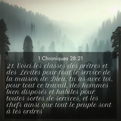 Segond21 1 Chroniques  ; image nature: image avec le verset biblique :Voici les classes des prêtres et des Lévites pour tout le service de la maison de Dieu; tu as avec toi, pour tout ce travail, des hommes bien disposés et habiles pour toutes sortes de services, et les chefs ainsi que tout le peuple sont à tes ordres.» ;  ; 28:21