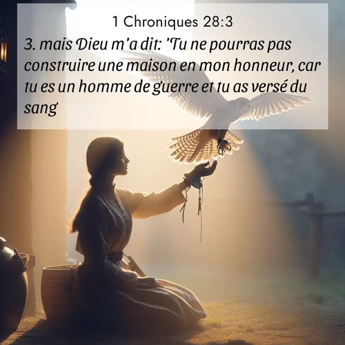 Segond21 1 Chroniques  ; image nature: image avec le verset biblique :mais Dieu m&#039;a dit: &#039;Tu ne pourras pas construire une maison en mon honneur, car tu es un homme de guerre et tu as versé du sang.&#039; ;  ; 28:3