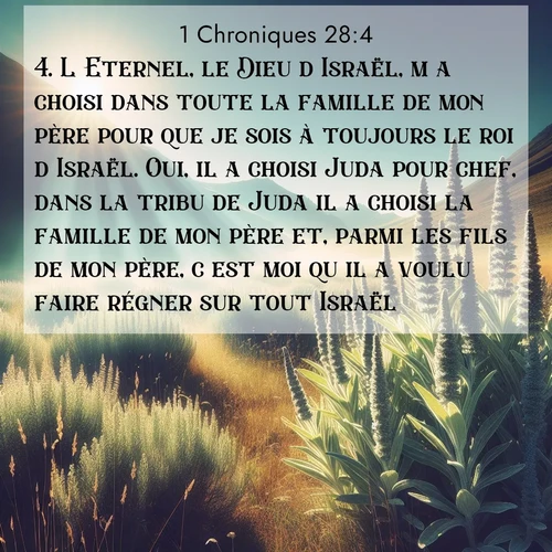 Segond21 1 Chroniques  ; image nature: image avec le verset biblique :L&#039;Eternel, le Dieu d&#039;Israël, m&#039;a choisi dans toute la famille de mon père pour que je sois à toujours le roi d&#039;Israël. Oui, il a choisi Juda pour chef, dans la tribu de Juda il a choisi la famille de mon père et, parmi les fils de mon père, c&#039;est moi qu&#039;il a voulu faire régner sur tout Israël. ;  ; 28:4