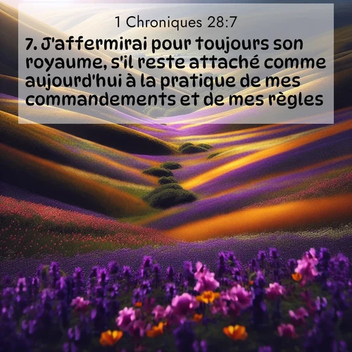 Segond21 1 Chroniques  ; image nature: image avec le verset biblique :J&#039;affermirai pour toujours son royaume, s&#039;il reste attaché comme aujourd&#039;hui à la pratique de mes commandements et de mes règles.&#039; ;  ; 28:7