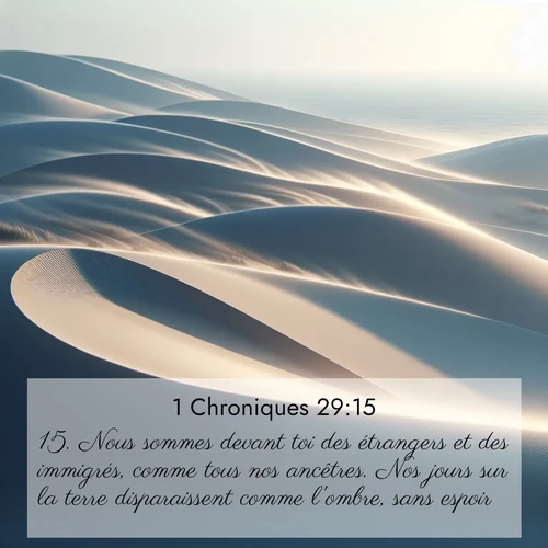 Segond21 1 Chroniques  ; image nature: image avec le verset biblique :Nous sommes devant toi des étrangers et des immigrés, comme tous nos ancêtres. Nos jours sur la terre disparaissent comme l&#039;ombre, sans espoir. ;  ; 29:15