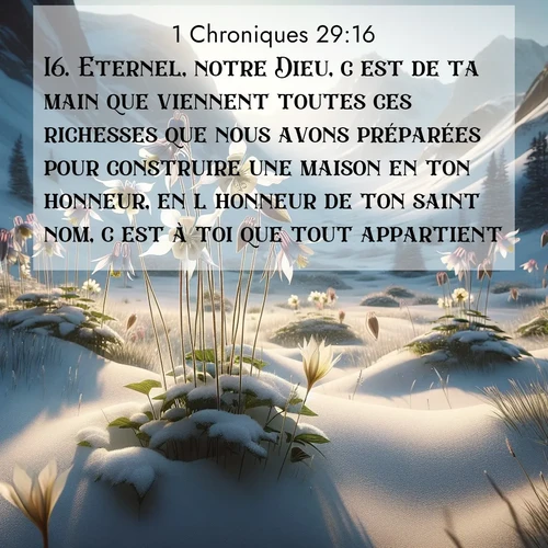 Segond21 1 Chroniques  ; image nature: image avec le verset biblique :Eternel, notre Dieu, c&#039;est de ta main que viennent toutes ces richesses que nous avons préparées pour construire une maison en ton honneur, en l&#039;honneur de ton saint nom, c&#039;est à toi que tout appartient. ;  ; 29:16