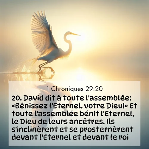 image nature avec verset biblique de la Bible