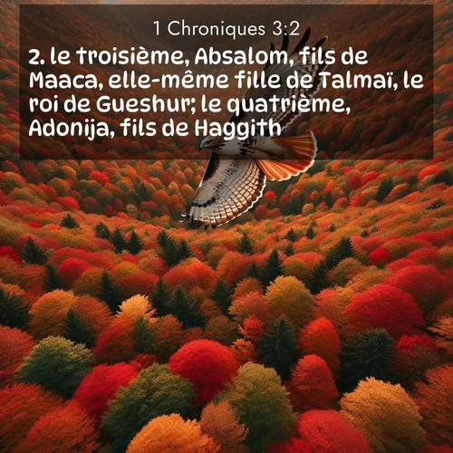 Segond21 1 Chroniques  ; image nature: image avec le verset biblique :le troisième, Absalom, fils de Maaca, elle-même fille de Talmaï, le roi de Gueshur; le quatrième, Adonija, fils de Haggith; ;  ; 3:2