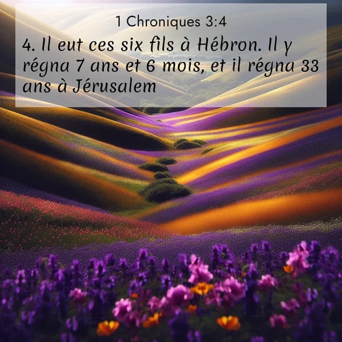 Segond21 1 Chroniques  ; image nature: image avec le verset biblique :Il eut ces six fils à Hébron. Il y régna 7 ans et 6 mois, et il régna 33 ans à Jérusalem. ;  ; 3:4