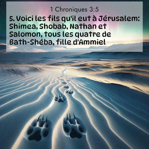 Segond21 1 Chroniques  ; image nature: image avec le verset biblique :Voici les fils qu&#039;il eut à Jérusalem: Shimea, Shobab, Nathan et Salomon, tous les quatre de Bath-Shéba, fille d&#039;Ammiel, ;  ; 3:5