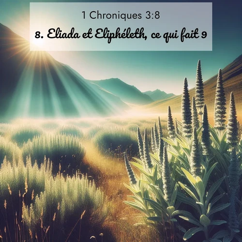 Segond21 1 Chroniques  ; image nature: image avec le verset biblique :Eliada et Eliphéleth, ce qui fait 9. ;  ; 3:8