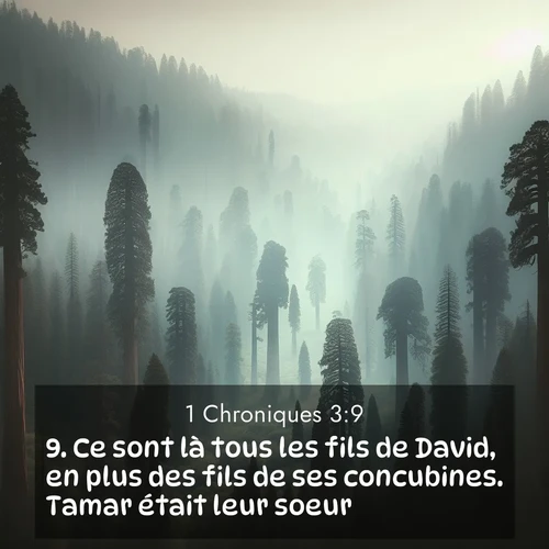 Segond21 1 Chroniques  ; image nature: image avec le verset biblique :Ce sont là tous les fils de David, en plus des fils de ses concubines. Tamar était leur soeur. ;  ; 3:9