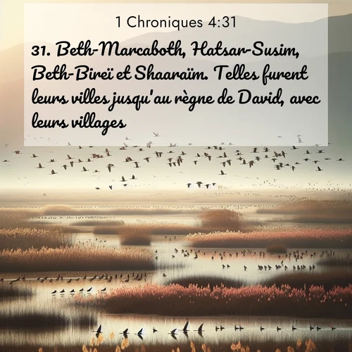 Segond21 1 Chroniques  ; image nature: image avec le verset biblique :Beth-Marcaboth, Hatsar-Susim, Beth-Bireï et Shaaraïm. Telles furent leurs villes jusqu&#039;au règne de David, avec leurs villages. ;  ; 4:31