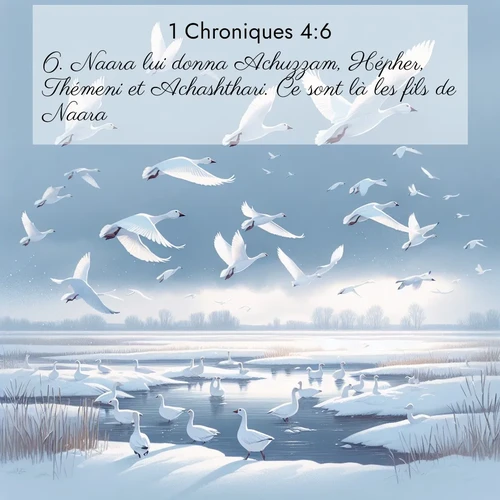 Segond21 1 Chroniques  ; image nature: image avec le verset biblique :Naara lui donna Achuzzam, Hépher, Thémeni et Achashthari. Ce sont là les fils de Naara. ;  ; 4:6