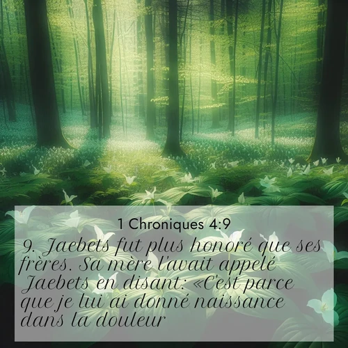 Segond21 1 Chroniques  ; image nature: image avec le verset biblique :Jaebets fut plus honoré que ses frères. Sa mère l&#039;avait appelé Jaebets en disant: «C&#039;est parce que je lui ai donné naissance dans la douleur.» ;  ; 4:9