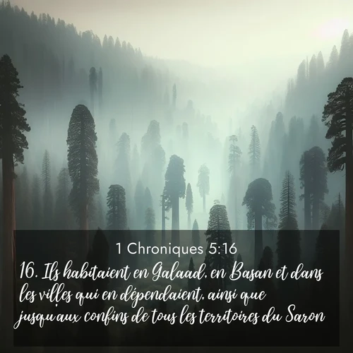 Segond21 1 Chroniques  ; image nature: image avec le verset biblique :Ils habitaient en Galaad, en Basan et dans les villes qui en dépendaient, ainsi que jusqu&#039;aux confins de tous les territoires du Saron. ;  ; 5:16
