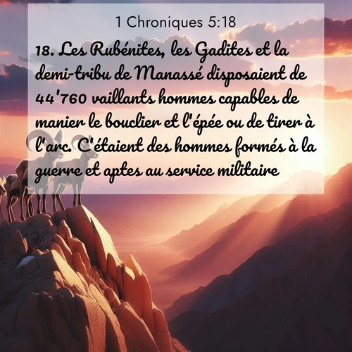 Segond21 1 Chroniques  ; image nature: image avec le verset biblique :Les Rubénites, les Gadites et la demi-tribu de Manassé disposaient de 44&#039;760 vaillants hommes capables de manier le bouclier et l&#039;épée ou de tirer à l&#039;arc. C&#039;étaient des hommes formés à la guerre et aptes au service militaire. ;  ; 5:18