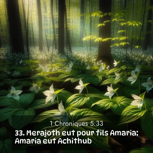 Segond21 1 Chroniques  ; image nature: image avec le verset biblique :Merajoth eut pour fils Amaria; Amaria eut Achithub; ;  ; 5:33