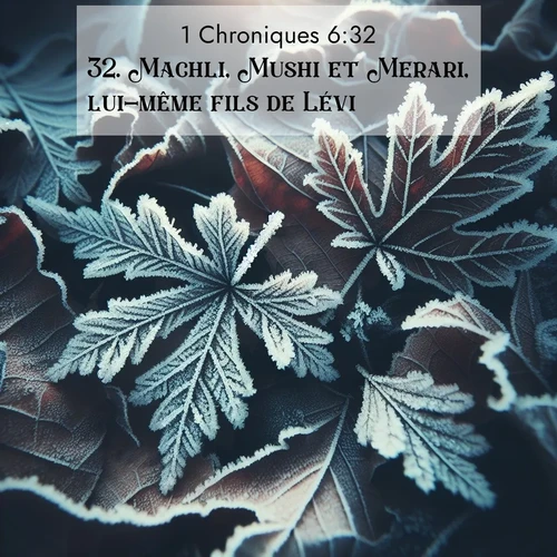 Segond21 1 Chroniques  ; image nature: image avec le verset biblique :Machli, Mushi et Merari, lui-même fils de Lévi. ;  ; 6:32
