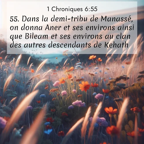 Segond21 1 Chroniques  ; image nature: image avec le verset biblique :Dans la demi-tribu de Manassé, on donna Aner et ses environs ainsi que Bileam et ses environs au clan des autres descendants de Kehath. ;  ; 6:55