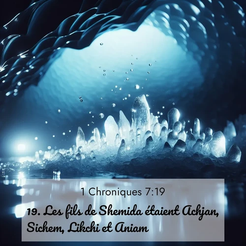 Segond21 1 Chroniques  ; image nature: image avec le verset biblique :Les fils de Shemida étaient Achjan, Sichem, Likchi et Aniam. ;  ; 7:19