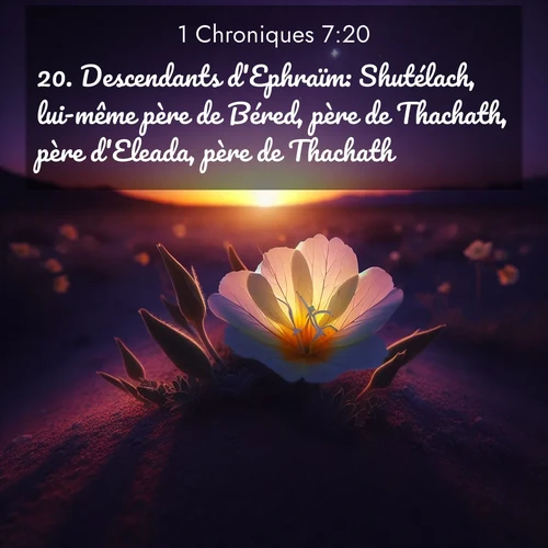Segond21 1 Chroniques  ; image nature: image avec le verset biblique :Descendants d&#039;Ephraïm: Shutélach, lui-même père de Béred, père de Thachath, père d&#039;Eleada, père de Thachath, ;  ; 7:20