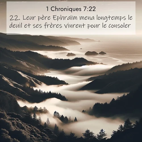 Segond21 1 Chroniques  ; image nature: image avec le verset biblique :Leur père Ephraïm mena longtemps le deuil et ses frères vinrent pour le consoler. ;  ; 7:22