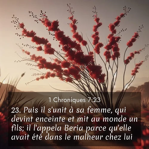 Segond21 1 Chroniques  ; image nature: image avec le verset biblique :Puis il s&#039;unit à sa femme, qui devint enceinte et mit au monde un fils; il l&#039;appela Beria parce qu&#039;elle avait été dans le malheur chez lui. ;  ; 7:23