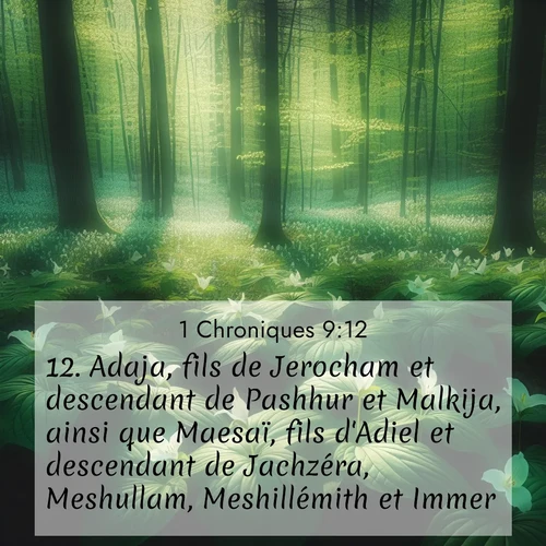 Segond21 1 Chroniques  ; image nature: image avec le verset biblique :Adaja, fils de Jerocham et descendant de Pashhur et Malkija, ainsi que Maesaï, fils d&#039;Adiel et descendant de Jachzéra, Meshullam, Meshillémith et Immer. ;  ; 9:12