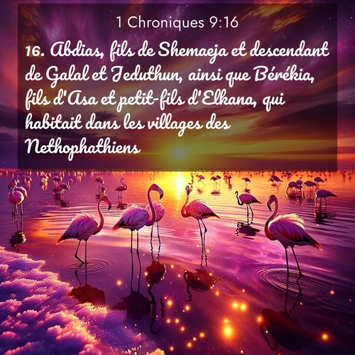 Segond21 1 Chroniques  ; image nature: image avec le verset biblique :Abdias, fils de Shemaeja et descendant de Galal et Jeduthun, ainsi que Bérékia, fils d&#039;Asa et petit-fils d&#039;Elkana, qui habitait dans les villages des Nethophathiens. ;  ; 9:16