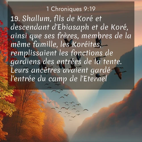 Segond21 1 Chroniques  ; image nature: image avec le verset biblique :Shallum, fils de Koré et descendant d&#039;Ebiasaph et de Koré, ainsi que ses frères, membres de la même famille, les Koréites, remplissaient les fonctions de gardiens des entrées de la tente. Leurs ancêtres avaient gardé l&#039;entrée du camp de l&#039;Eternel, ;  ; 9:19