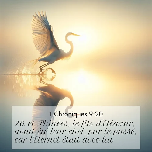Segond21 1 Chroniques  ; image nature: image avec le verset biblique :et Phinées, le fils d&#039;Eléazar, avait été leur chef, par le passé, car l&#039;Eternel était avec lui. ;  ; 9:20