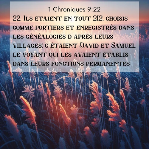 Segond21 1 Chroniques  ; image nature: image avec le verset biblique :Ils étaient en tout 212, choisis comme portiers et enregistrés dans les généalogies d&#039;après leurs villages; c&#039;étaient David et Samuel le voyant qui les avaient établis dans leurs fonctions permanentes. ;  ; 9:22
