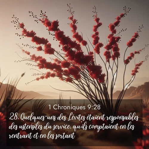 Segond21 1 Chroniques  ; image nature: image avec le verset biblique :Quelques-uns des Lévites étaient responsables des ustensiles du service, qu&#039;ils comptaient en les rentrant et en les sortant. ;  ; 9:28