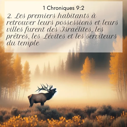 Segond21 1 Chroniques  ; image nature: image avec le verset biblique :Les premiers habitants à retrouver leurs possessions et leurs villes furent des Israélites, les prêtres, les Lévites et les serviteurs du temple. ;  ; 9:2