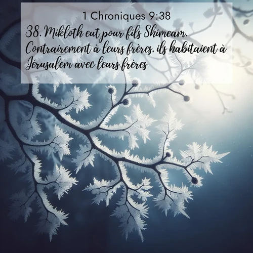 Segond21 1 Chroniques  ; image nature: image avec le verset biblique :Mikloth eut pour fils Shimeam. Contrairement à leurs frères, ils habitaient à Jérusalem avec leurs frères. ;  ; 9:38