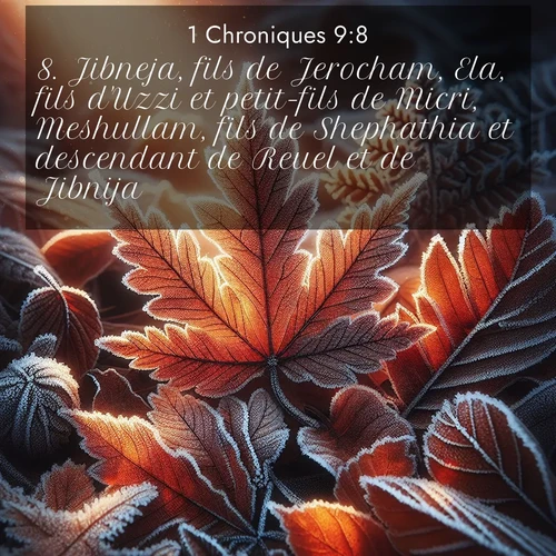 Segond21 1 Chroniques  ; image nature: image avec le verset biblique :Jibneja, fils de Jerocham, Ela, fils d&#039;Uzzi et petit-fils de Micri, Meshullam, fils de Shephathia et descendant de Reuel et de Jibnija. ;  ; 9:8