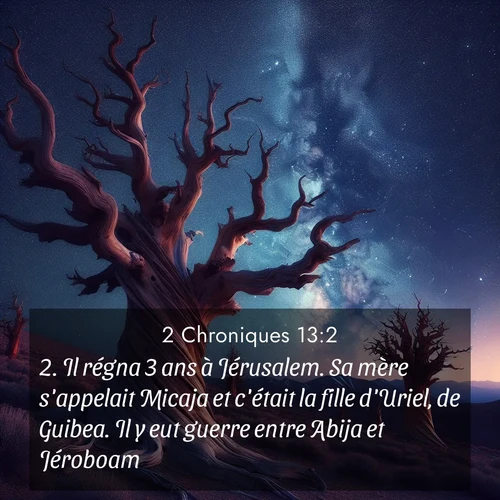 Segond21 2 Chroniques  ; image nature: image avec le verset biblique :Il régna 3 ans à Jérusalem. Sa mère s&#039;appelait Micaja et c&#039;était la fille d&#039;Uriel, de Guibea. Il y eut guerre entre Abija et Jéroboam. ;  ; 13:2
