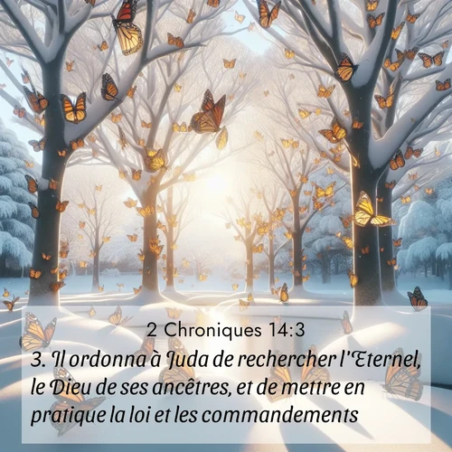 Segond21 2 Chroniques  ; image nature: image avec le verset biblique :Il ordonna à Juda de rechercher l&#039;Eternel, le Dieu de ses ancêtres, et de mettre en pratique la loi et les commandements. ;  ; 14:3