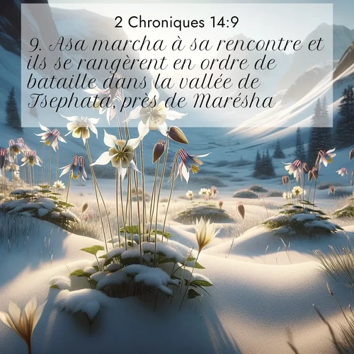 Segond21 2 Chroniques  ; image nature: image avec le verset biblique :Asa marcha à sa rencontre et ils se rangèrent en ordre de bataille dans la vallée de Tsephata, près de Marésha. ;  ; 14:9