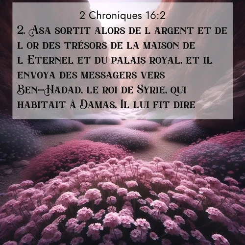 Segond21 2 Chroniques  ; image nature: image avec le verset biblique :Asa sortit alors de l&#039;argent et de l&#039;or des trésors de la maison de l&#039;Eternel et du palais royal, et il envoya des messagers vers Ben-Hadad, le roi de Syrie, qui habitait à Damas. Il lui fit dire: ;  ; 16:2