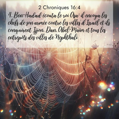 Segond21 2 Chroniques  ; image nature: image avec le verset biblique :Ben-Hadad écouta le roi Asa: il envoya les chefs de son armée contre les villes d&#039;Israël et ils conquirent Ijjon, Dan, Abel-Maïm et tous les entrepôts des villes de Nephthali. ;  ; 16:4
