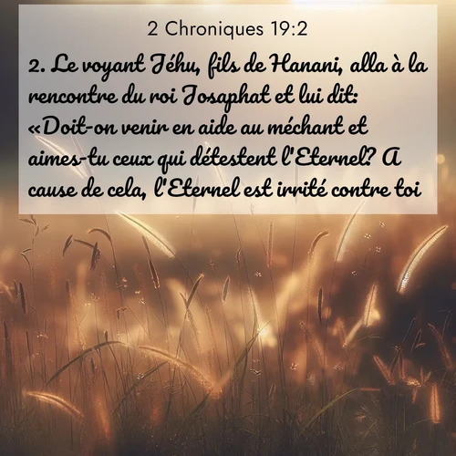 Segond21 2 Chroniques  ; image nature: image avec le verset biblique :Le voyant Jéhu, fils de Hanani, alla à la rencontre du roi Josaphat et lui dit: «Doit-on venir en aide au méchant et aimes-tu ceux qui détestent l&#039;Eternel? A cause de cela, l&#039;Eternel est irrité contre toi. ;  ; 19:2