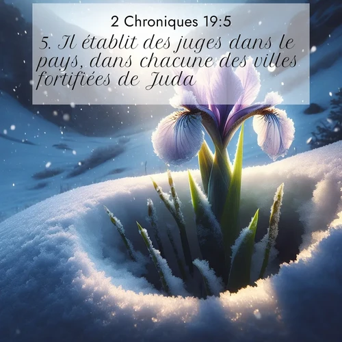 Segond21 2 Chroniques  ; image nature: image avec le verset biblique :Il établit des juges dans le pays, dans chacune des villes fortifiées de Juda, ;  ; 19:5