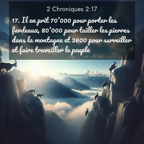 Segond21 2 Chroniques  ; image nature: image avec le verset biblique :Il en prit 70&#039;000 pour porter les fardeaux, 80&#039;000 pour tailler les pierres dans la montagne et 3600 pour surveiller et faire travailler le peuple. ;  ; 2:17