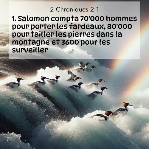 Segond21 2 Chroniques  ; image nature: image avec le verset biblique :Salomon compta 70&#039;000 hommes pour porter les fardeaux, 80&#039;000 pour tailler les pierres dans la montagne et 3600 pour les surveiller. ;  ; 2:1