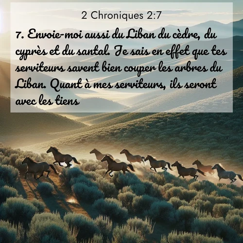 Segond21 2 Chroniques  ; image nature: image avec le verset biblique :Envoie-moi aussi du Liban du cèdre, du cyprès et du santal. Je sais en effet que tes serviteurs savent bien couper les arbres du Liban. Quant à mes serviteurs, ils seront avec les tiens ;  ; 2:7
