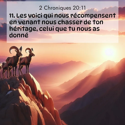 Segond21 2 Chroniques  ; image nature: image avec le verset biblique :Les voici qui nous récompensent en venant nous chasser de ton héritage, celui que tu nous as donné! ;  ; 20:11