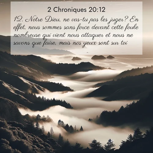 Segond21 2 Chroniques  ; image nature: image avec le verset biblique :Notre Dieu, ne vas-tu pas les juger? En effet, nous sommes sans force devant cette foule nombreuse qui vient nous attaquer et nous ne savons que faire, mais nos yeux sont sur toi.» ;  ; 20:12