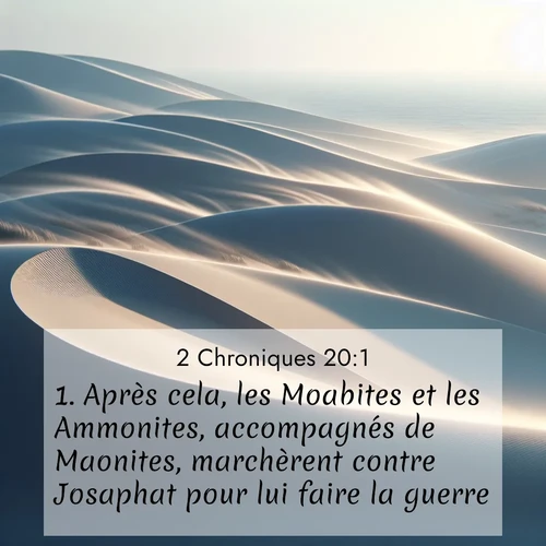 Segond21 2 Chroniques  ; image nature: image avec le verset biblique :Après cela, les Moabites et les Ammonites, accompagnés de Maonites, marchèrent contre Josaphat pour lui faire la guerre. ;  ; 20:1